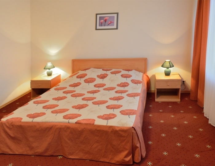 Стандарт одноместный - Санаторий «Кстово» Рыбинск